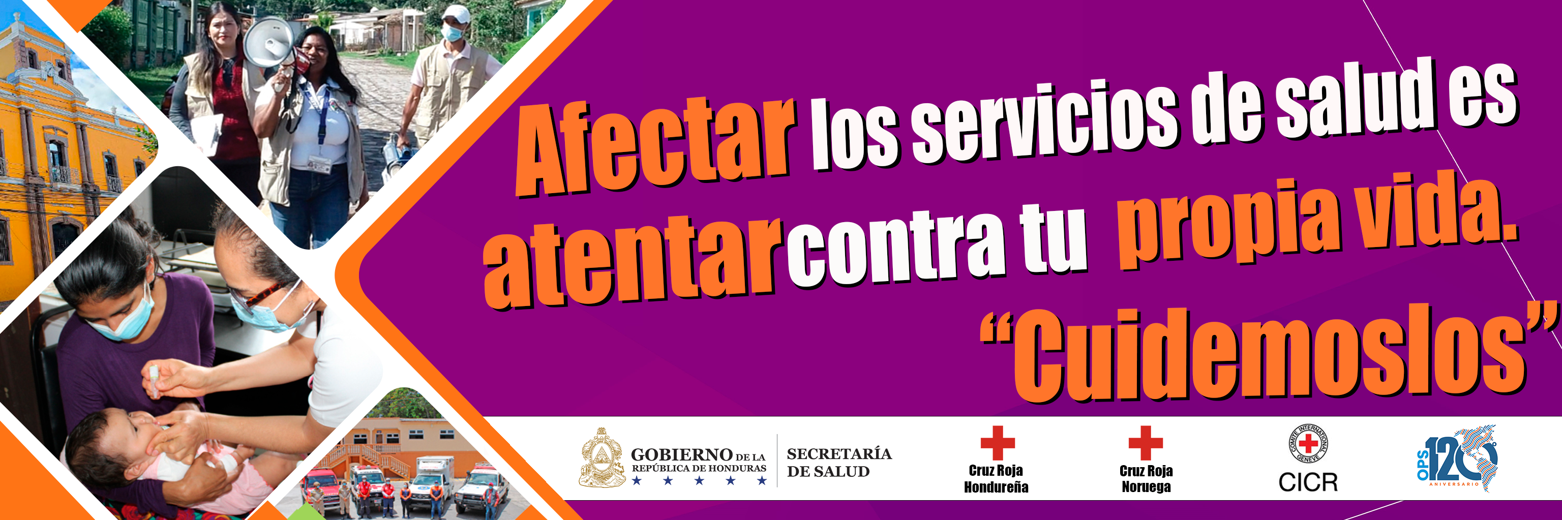 Imagen 5