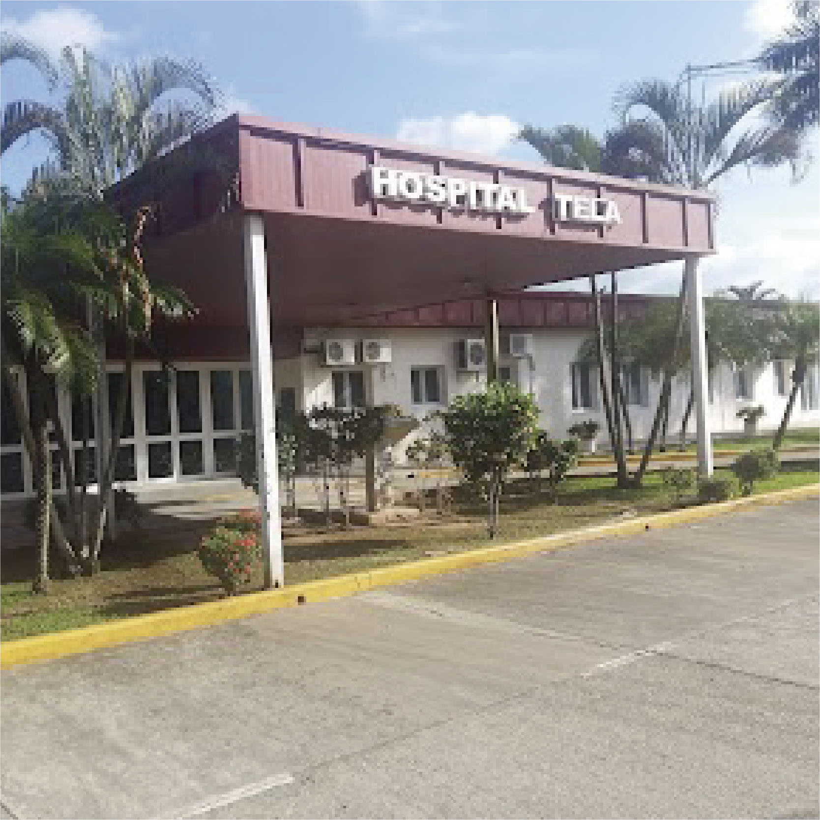 Hospital Tela Integrado